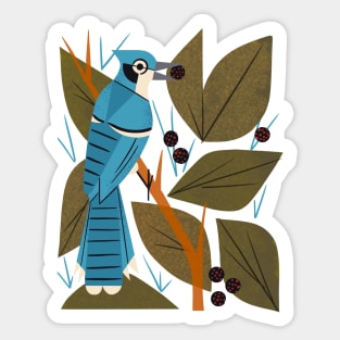 Blue Jay and Berries Sticker